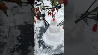 Hot pepper snowman 😂😂#shorts