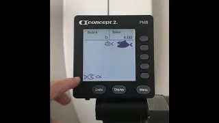 How to Program Fish Game (Concept2)