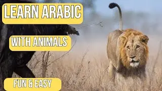 Learn Arabic Through Wildlife Stories 🐘🦁 | Nature Documentary Lesson