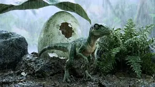 50 Million Years Ago: A Survival Story (Realistic CGI)