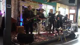 3 Legged Dog @ Myrtle 01/04/26 