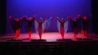 Eurythmie der 13. Klasse  - Forum Eurythmie 2015