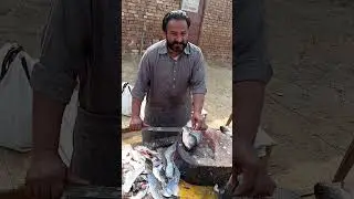 Fish Cutting Vlog: Learning Art of Rohu Cutting for Pakistani Cuisine