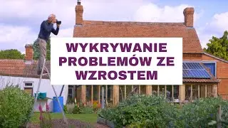 Twoje Rośliny Cierpią? Poradź Sobie Z Żółtymi Liśćmi I Wolnym Wzrostem!