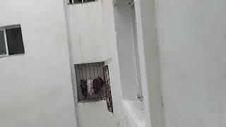 شقتين في العرفان 2 طنجة طباق1 تمن29 مليون0634364698