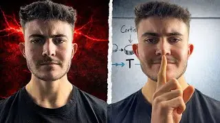 Истинная причина, по которой стресс разрушает тестостерон (полное руководство)