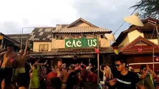 New year party 2017 cactus bar koh phangan