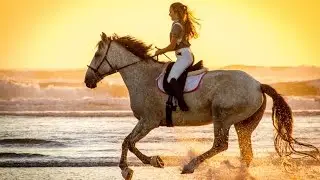 2015 Beach Trip with the Horses