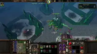 [n/c] WC3R - Randomizer 1: Bane of Bossastiil - 06: A Kingling and a Crazed Fool + Purge