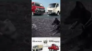 mahindra supro vs tata Ace gold #tatae #mahindra