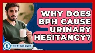 Why Does BPH Cause Urinary Hesitancy? - Prostate Health Network