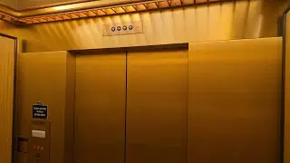 International Hydraulic Elevator Dillard's Chandler Fashion Center Mall Chandler, AZ