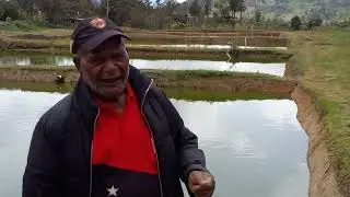 Anjo Trinity Fish Farming