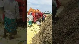 Today work ⚡😇 black gram Harvester 🔥#trending #vivasayi magan#vishvkarma #former #tractor #shorts