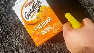 Burning Stuff 973: Carton of Goldfish