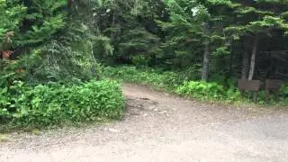 Rock Harbor Isle Royale National Park