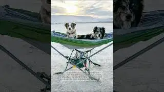 Mock One Hammock Customer Reviews #hammock #outdoors #hammocklife #campinglife #hammockcamping