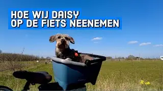 #197 De hond achterop de fiets meenemen met deze fietsmand