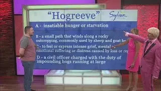 Sylvan Learning Trivia: Meaning Mix-Up