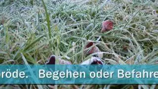 rasenfluesterer wintertipps.wmv