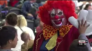 Camels, elephants, and clowns, oh my!