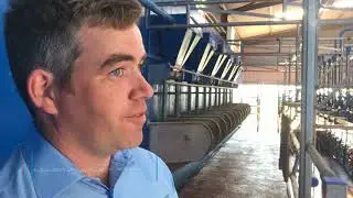 Dairy Infrastructure & Farm Flow