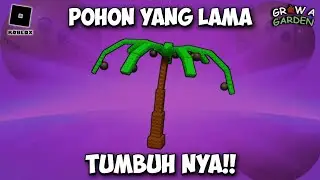 CARI POHON BESAR COCONUT YANG LAMA TUMBUH NYA!! ROBLOX GROW A GARDEN