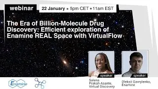 The Era of Billion-Molecule Drug Discovery: Efficient exploration of Enamine REAL Space with Virt...