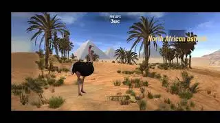 Hunting Clash-- Chill Hunting in all maps @ngghost3681 .