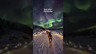 ✨ The Magic of the North: Finland 🇫🇮❄️ #space #cosmicexplosion #planet #blackhole