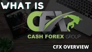 What is CashFx group?