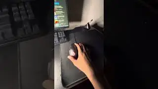 Reviewing Steel series Mouse (In-Depth Review)