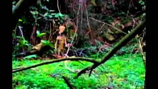 UFO Sightings Shocking  Real Grey Alien Sucker Punch!