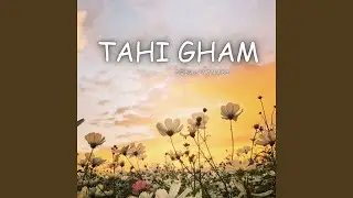 Tahi Chamani