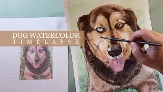 Dog Watercolor Timelapse - How to paint a dog in watercolor