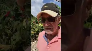 RAYFIELD Virtual Field Trip Intros - Dominican Republic