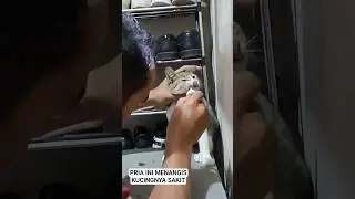 A Grown Man Crying for His Sick Cat 💔 #cat #pets