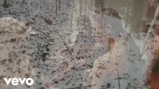 Stan Stewart - First Snow