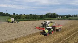 2 X CLAAS LEXION 630 A LA MOISSON DES BLE 2K22 🌾 // 2 X LEXION 630, 2 X ARION & JOHN DEERE //