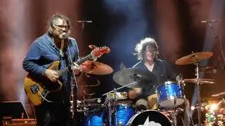 WILCO: I'm Always in Love