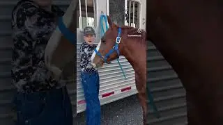 When life gives you truck problems&hellip; Pivot!  #horse #horses #polebending #barrelracing #dodgetrucks