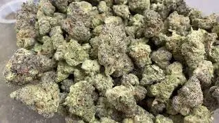 Bulk THCa Flower: Punch Breath