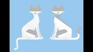 Zweitkatze zieht nach Partnerverlust ein ~ erste Probleme beheben 🐈🐈