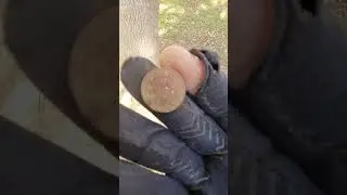 tesoros enterrados detectando aventuras en Barcelona