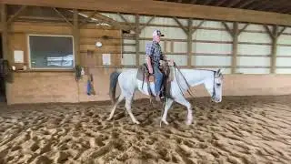 Get that horse cantering (part 3), teaching them to pick up the lead