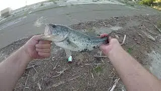Guadalupe Reservoir bass fishing.