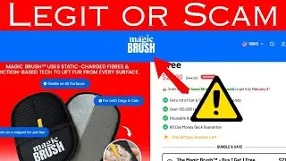 Magic Brush Review &ndash; Does This Pet Hair Remover Actually Work or a Scam?
