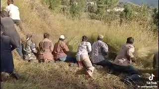 Abbottabad Mansehra dhole party Hashar grass cutting 