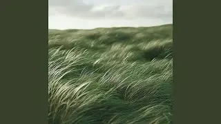 Calm Poetry (Wind)