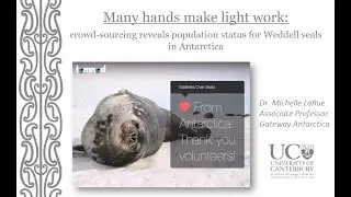 Many hands make light work: crowd-sourcing reveals population status for Weddell seals in Antarctica